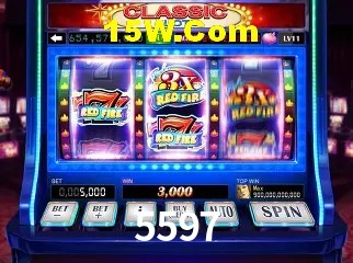 5597 - Support